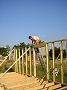 2005-07-09--20-59-41.jpg